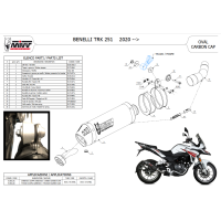 MIVV-SLIP-ON - OVAL - Titan mit Carbon Endkappe für BENELLI - TRK 251 BJ. 2019 > 2024 - E.006.L4C