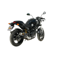 MIVV-2 SLIP-ON - GP - Carbon für DUCATI - MONSTER 695 BJ. 2006 > 2008 - D.019.L2S