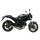 MIVV-2 SLIP-ON - GP - Carbon für DUCATI - MONSTER 695 BJ. 2006 > 2008 - D.019.L2S