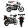 MIVV-SLIP-ON - OVAL - Edelstahl für HONDA - XLV 650 TRANSALP BJ. 2000 > 2004 - H.023.LX1