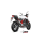 MIVV-SLIP-ON - OVAL - Carbon mit Carbon Endkappe für HONDA - CB750 HORNET BJ. 2023 > 2024 - H.085.L3C