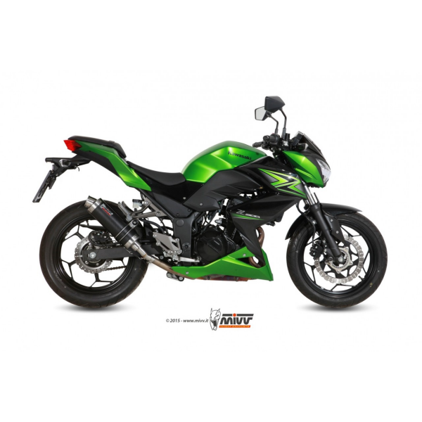 MIVV-SLIP-ON - GP - Carbon für KAWASAKI - NINJA 300 BJ. 2013 > 2016 - K.038.L2S