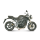 MIVV-SLIP-ON - GP - Carbon für TRIUMPH - SPEED TRIPLE 1050 R / S / RS BJ. 2007 > 2010 - T.008.L2S