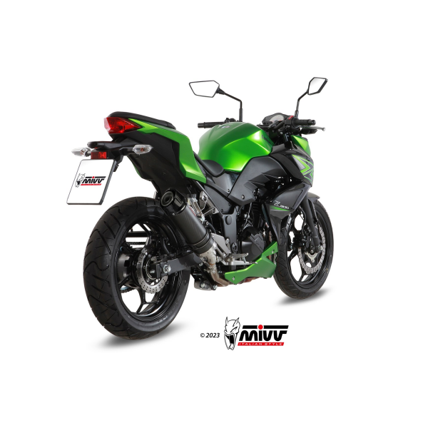 MIVV-SLIP-ON - GP - Carbon mit Carbon Endkappe für KAWASAKI - NINJA 300 BJ. 2013 > 2016 - K.038.L2SC